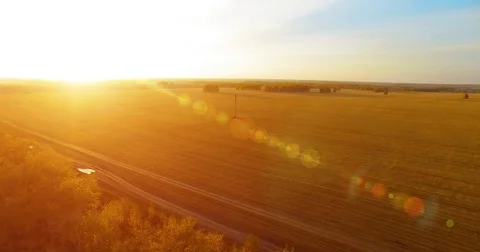 UHD 4K aerial view. Mid-air flight over yellow wheat rural field Stock Footage