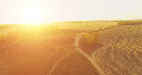 UHD 4K aerial view. Mid-air flight over yellow rural field and dirt road Stock Footage