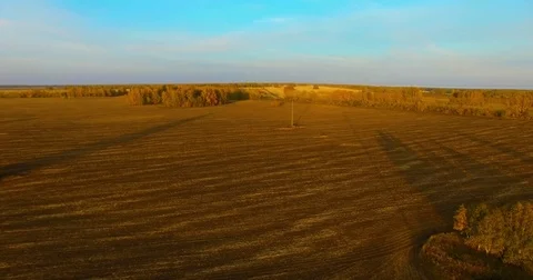 UHD 4K aerial view. Mid-air flight over yellow rural field Stock Footage