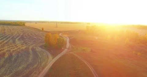 UHD 4K aerial view. Mid-air flight over yellow rural field and dirt road Stock Footage 82040731