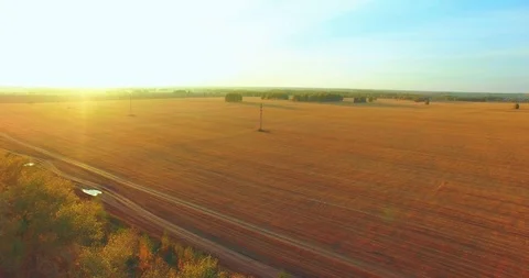 UHD 4K aerial view. Mid-air flight over yellow wheat rural field Stock Footage 113933876