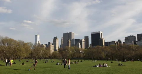 UHD 4K Central Park People Kids Play Ball Family Lying Grass Lawn NYC Skyline Stock Footage 41686715