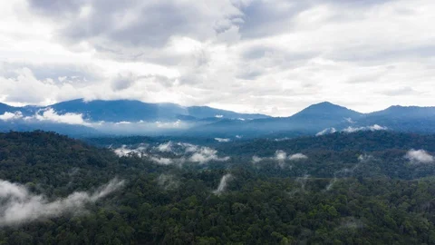 UHD Aerial Hyperlapse of Cloud Forest. A Beautiful Mountain Jungle Rainforest Fo Stock Footage 127631320