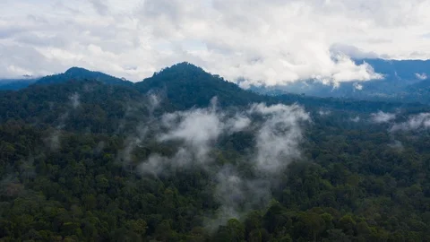 UHD Aerial Hyperlapse of Cloud Forest. A Beautiful Mountain Jungle Rainforest Stock Footage 127631438