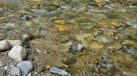 UHD closeup of crystal clear waters of the forest creek Stockbeeldmateriaal 66258208