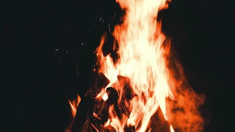 UHD closeup shot of the burning campfire Видео 104141067