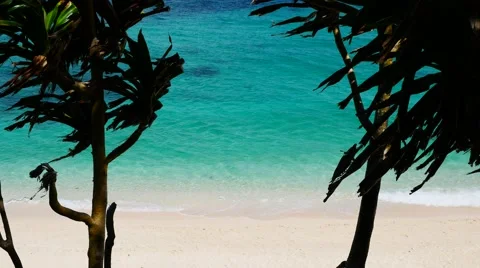 UHD high angle view of the peaceful turquoise tropical lagoon 動画素材 67583823