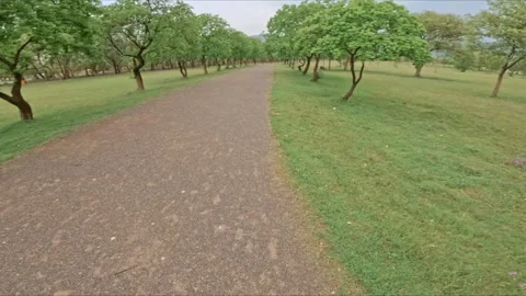 UHD Jogging in the park - POV 動画素材 245686182