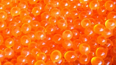 UHD macro of the salmon caviar Video stock 88466510