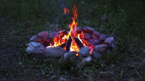 UHD shot of the forest campfire at night Video stock 112541191