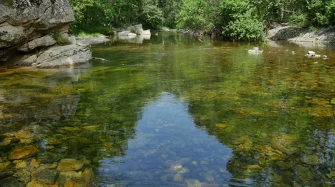 UHD shot of the peaceful river in a deep forest Video stock 66258207