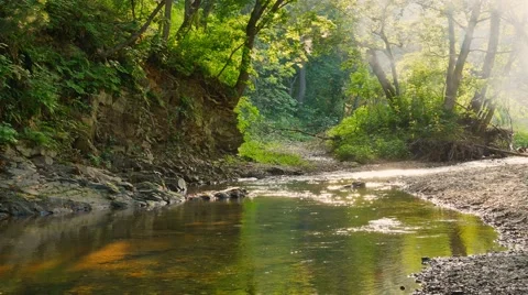 UHD shot of the tranquil river, untouched forest and campfire smoke Stock-Footage 66258153