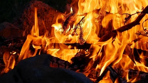 UHD slow motion of camp fire flames in a Utah national forest. Stock Footage 106789740