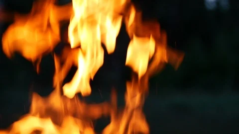 UHD slow motion of camp fire flames in a Utah national forest. Stock Footage 106789797