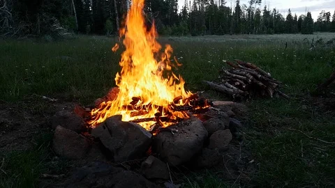 UHD slow motion of camp fire flames in a Utah national forest. Video stock 106789930