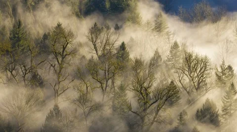 UHD Time Lapse of Thick Rolling Fog Over Crooked River from Jonsrud in Sandy OR Stock Footage 55751319