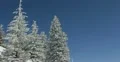 UHD Ultra HD 4K Winter Landscape, Beautiful Mountains in Cold Season Fir Tree 4k or 4k+ Resolution