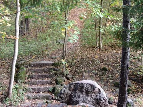 Uins of an ancient staircase and a split boulder in an old autumn Park Stock Photos