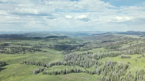 Uinta Highlands Meadows with Pines and Distant Peaks Forward Push Stock Footage 338355902