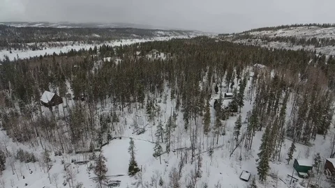 Uinta Mountain Forest Stock Footage 87672282