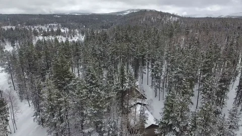 Uinta Mountain Forest Stock Footage 87673621