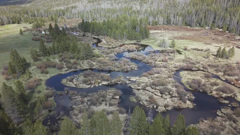 Uinta Mountains Hayden Fork Drone Push Above Alpine Stream Video stock 335601180