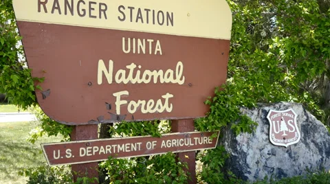 Uinta National Forest Sign Stock Footage 38111289