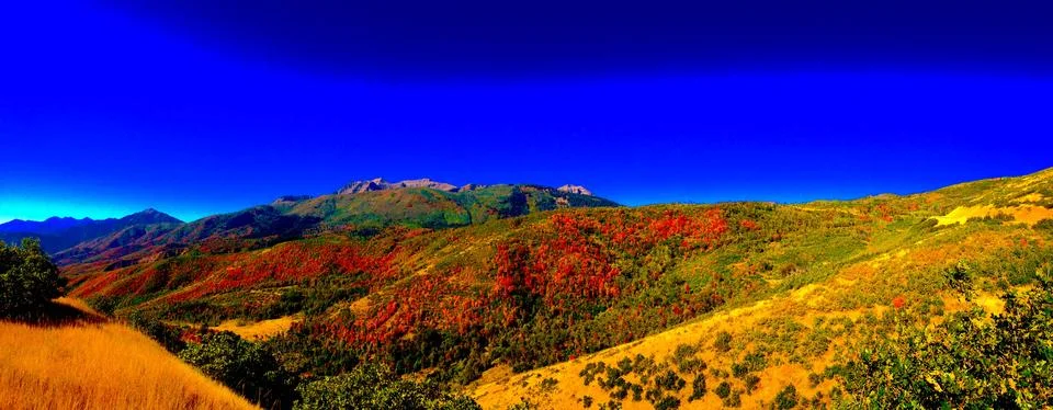 Uinta-Wasatch-Cache National Forest, Alpine Loop, USA Foto stock