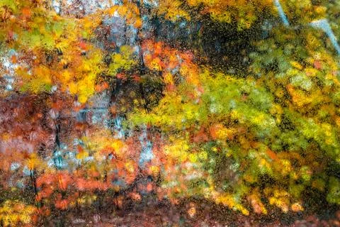 UK autumn Stock Photos