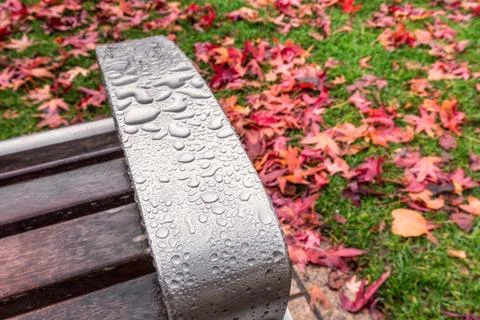 UK autumn Stock Photos