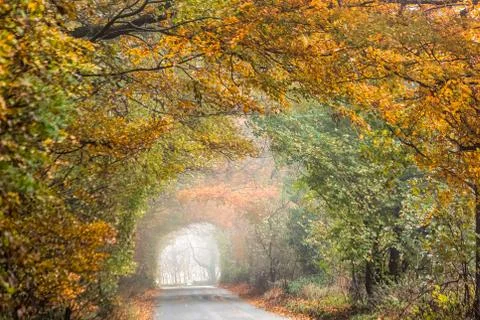 UK autumn Stock Photos