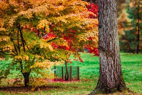UK autumn Stock Photos