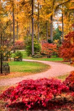 UK autumn Stock Photos