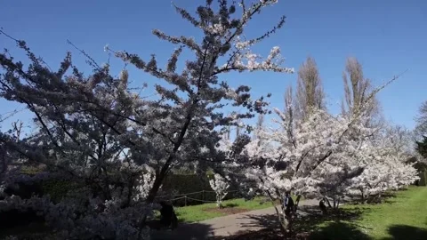 The UK is experiencing its warmest day of the year so far this Wednesday, Londre Vidéo 331019978