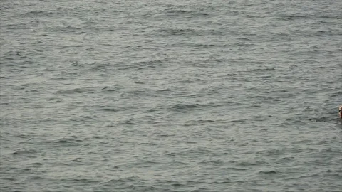 Small Breasted Women Stock Videos – Royalty-Free HD & 4K Videos