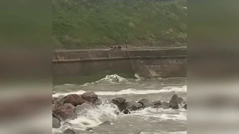 UK: Man Risks All to Save Dog from Cromer's Treacherous Waves 库存影片 280450055