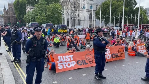 UK: Over 60 Activists Arrested In London During Protest Outside Parliamen... Stock Footage 344513819