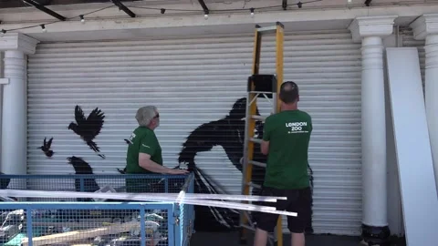 UK: People react to Banksy's artwork at London Zoo Stock Footage 281687864