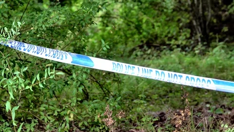 UK Police Tape In Front Of Wooded Undergrowth Stock Footage