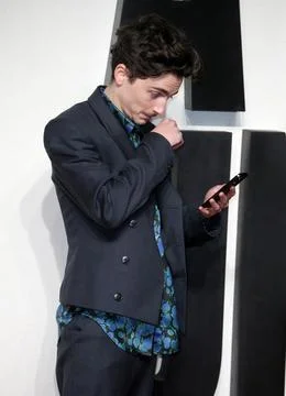 UK Premiere of A Complete Unknown. Stock Photos