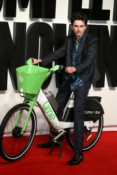 UK Premiere of A Complete Unknown. Stock-Fotos