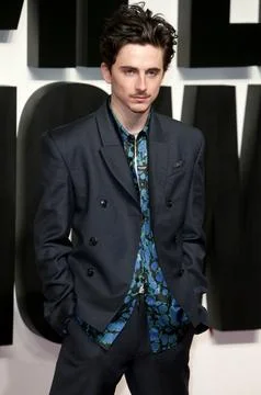 UK Premiere of A Complete Unknown. Stock-Fotos