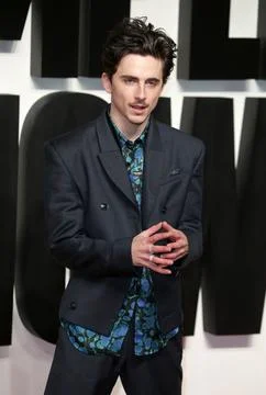 UK Premiere of A Complete Unknown. Stock Photos