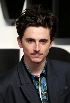 UK Premiere of A Complete Unknown. Stock-Fotos