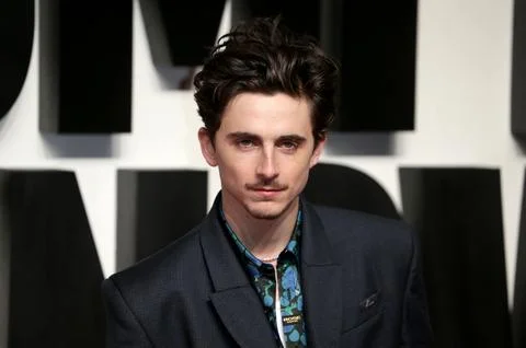UK Premiere of A Complete Unknown. Stock-Fotos