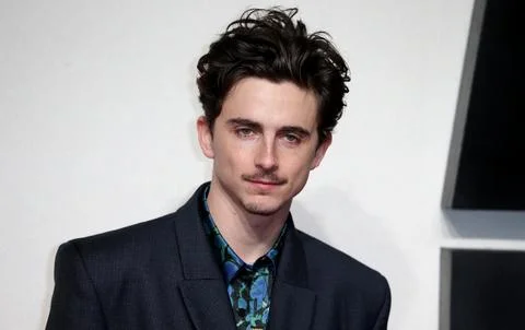 UK Premiere of A Complete Unknown. Stock-Fotos