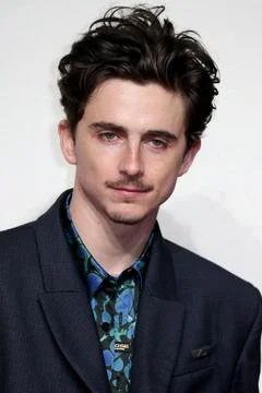 UK Premiere of A Complete Unknown. Stock-Fotos