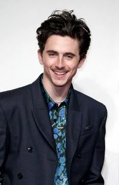 UK Premiere of A Complete Unknown. Stock-Fotos
