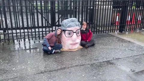 UK: Protest blocks Carriage Gates at UK Parliament in London, UK Stock-Footage 328501348