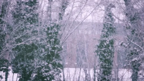 UK Snow Stock Footage 159758647